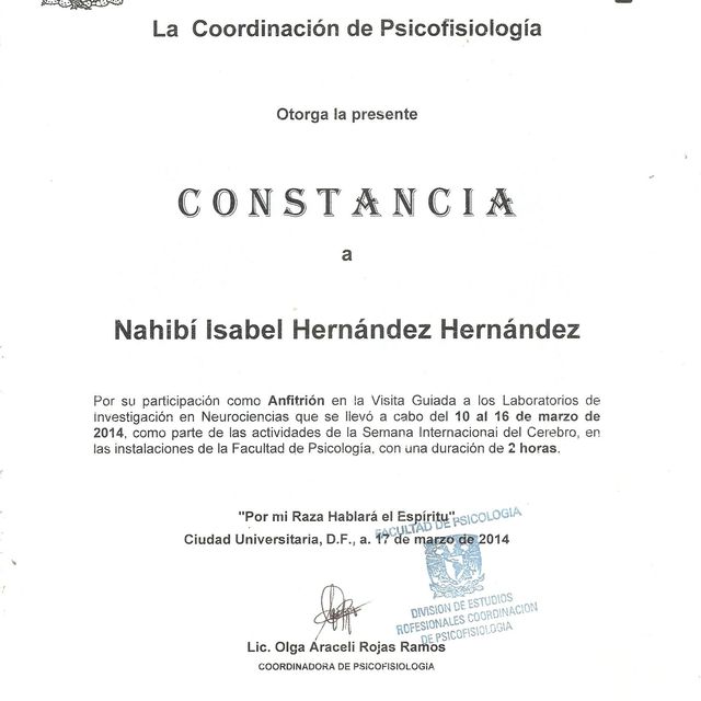 Ampliar imagen: certificate 8