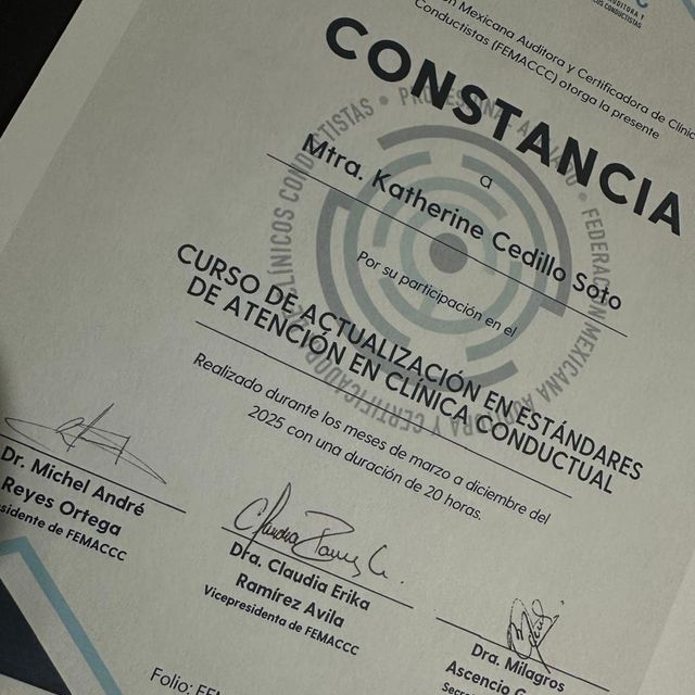 Ampliar imagen: certificate 4