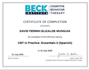 Ampliar imagen: certificate 5