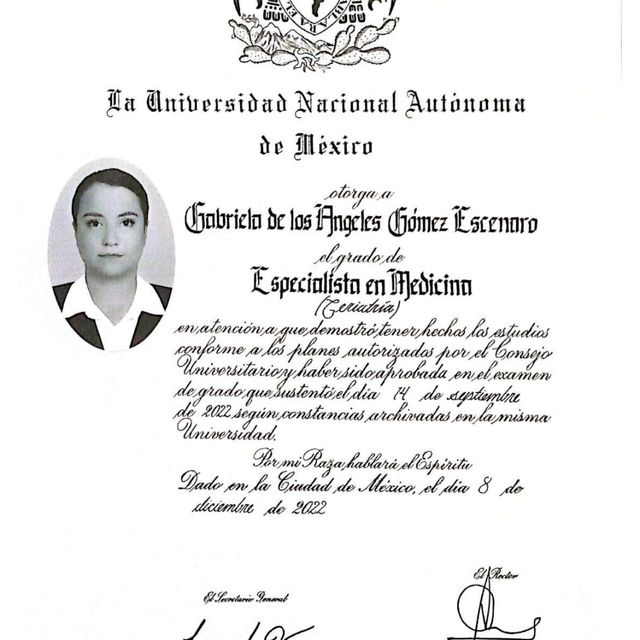 Ampliar imagen: certificate 4