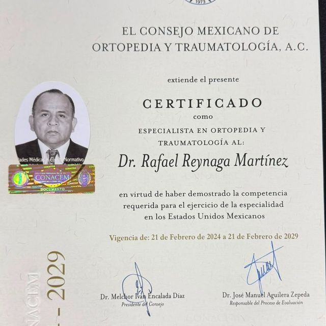 Ampliar imagen: certificate 1