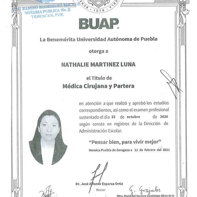 Ampliar imagen: certificate 6
