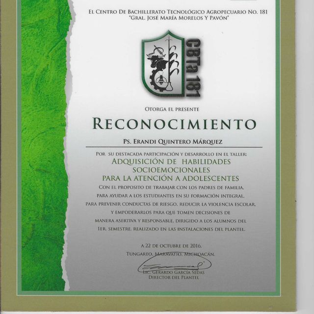Ampliar imagen: certificate 28