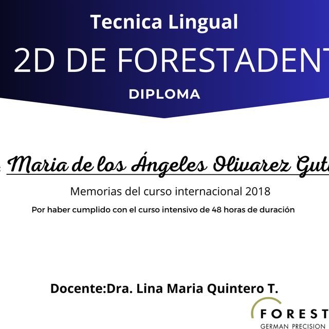Ampliar imagen: certificate 4