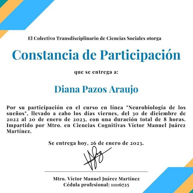 Ampliar imagen: certificate 2
