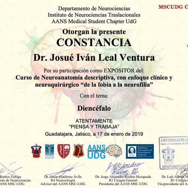 Ampliar imagen: certificate 16