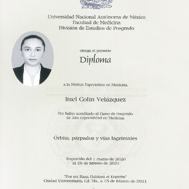 Ampliar imagen: certificate 3