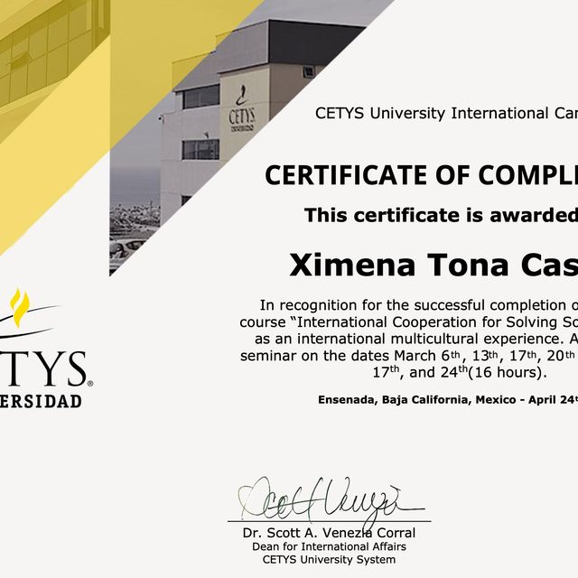 Ampliar imagen: certificate 4