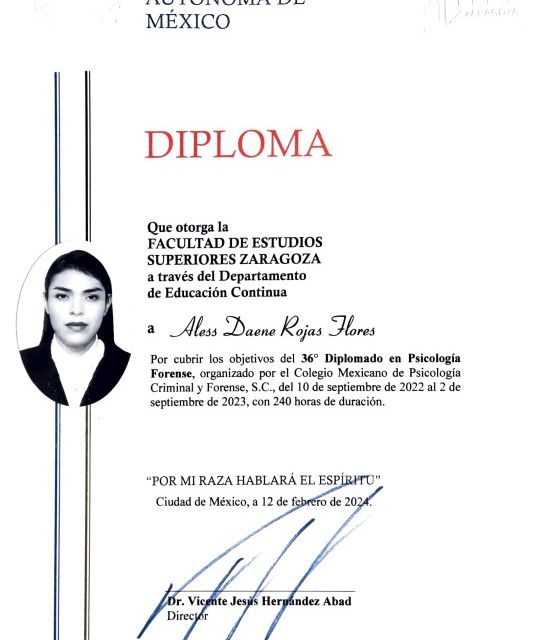 Ampliar imagen: certificate 1