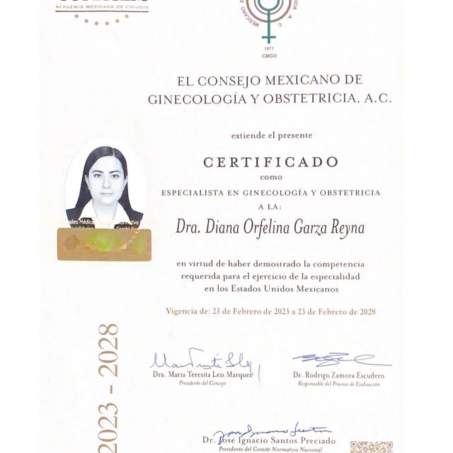 Ampliar imagen: certificate 2