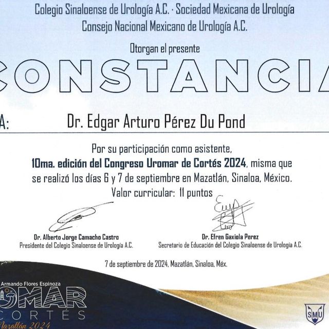 Ampliar imagen: certificate 6