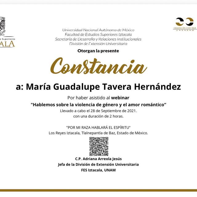 Ampliar imagen: certificate 38