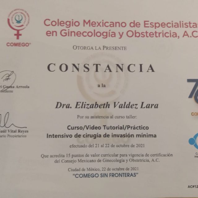 Ampliar imagen: certificate 6