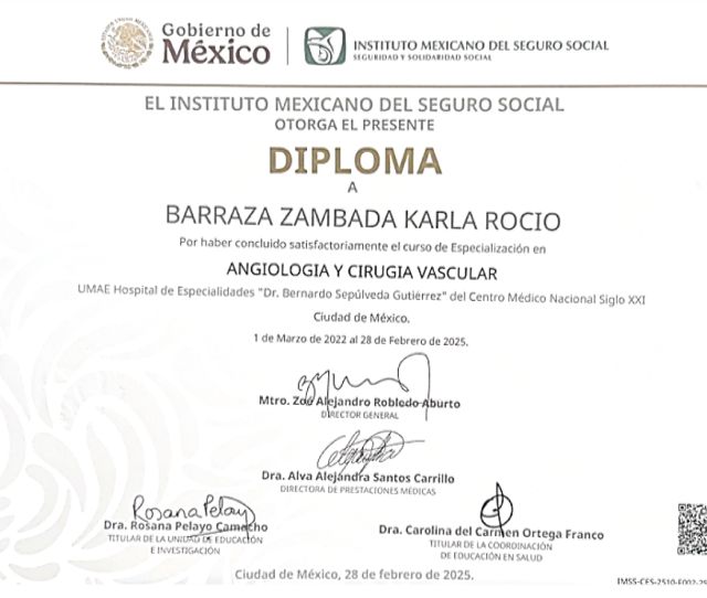 Ampliar imagen: certificate 3