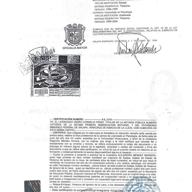 Ampliar imagen: certificate 2