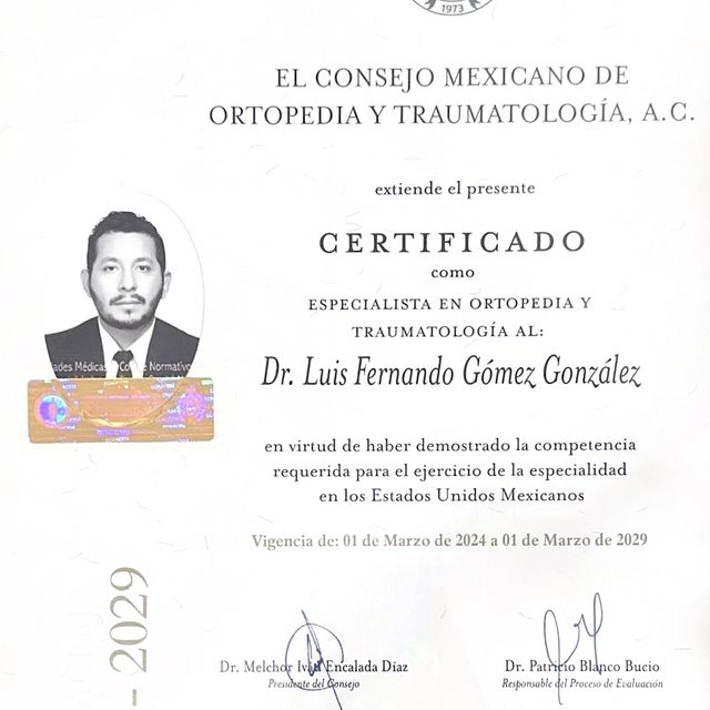 Ampliar imagen: certificate 1