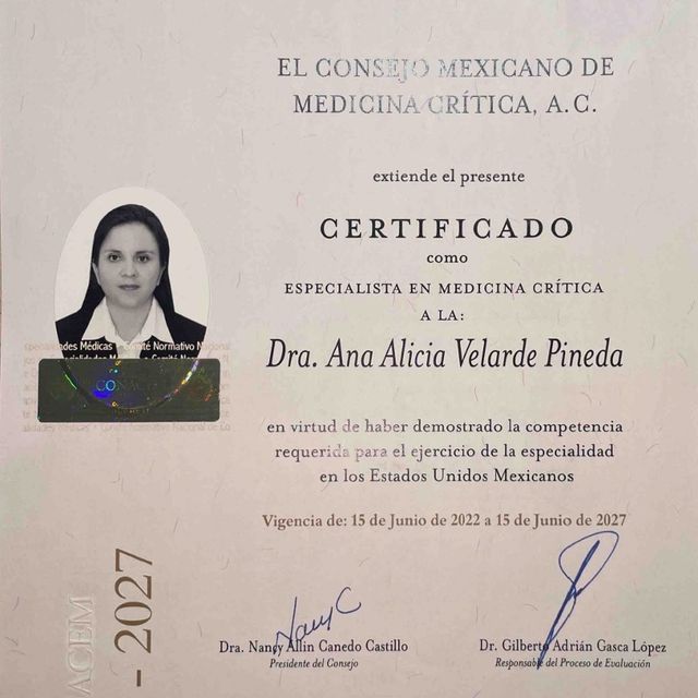 Ampliar imagen: certificate 2