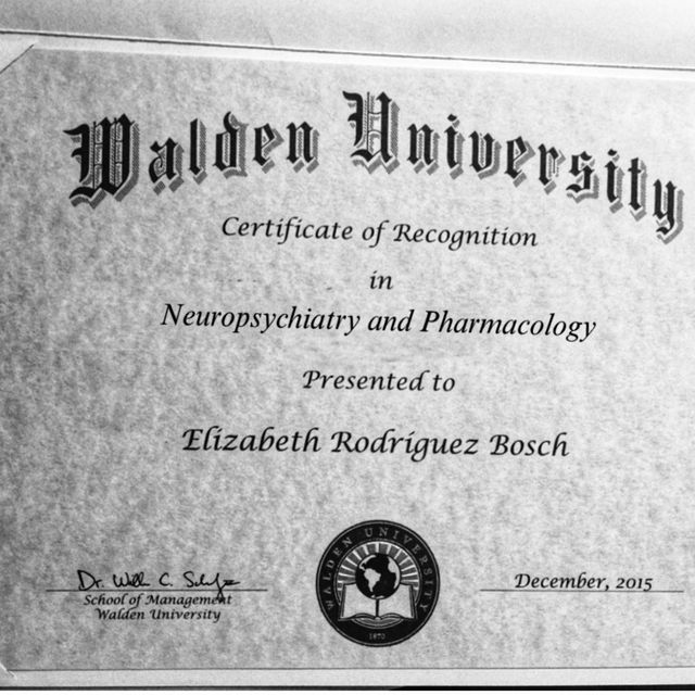 Ampliar imagen: certificate 4