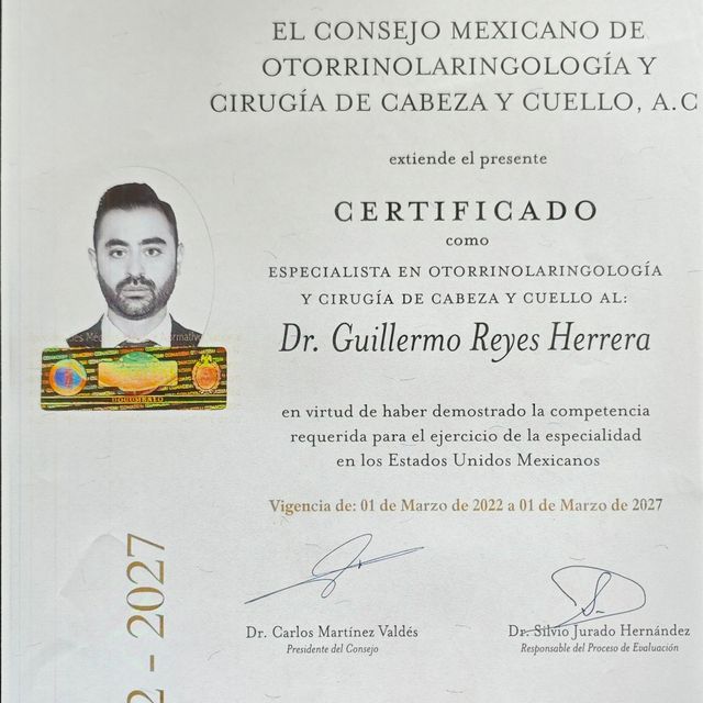 Ampliar imagen: certificate 2