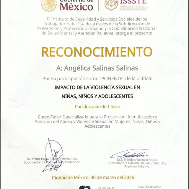 Ampliar imagen: certificate 2