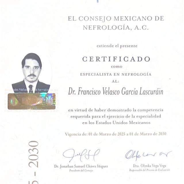 Ampliar imagen: certificate 1