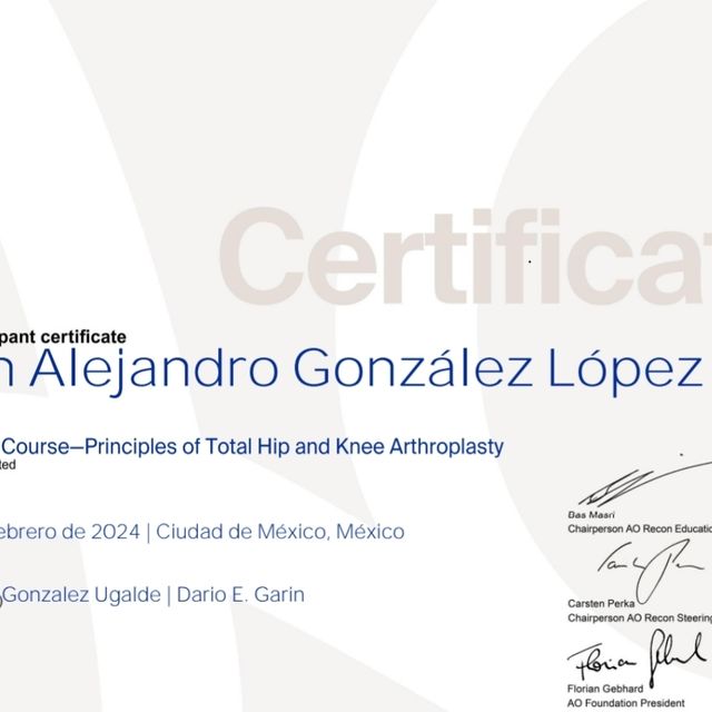 Ampliar imagen: certificate 2