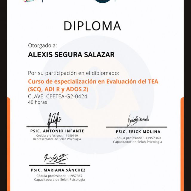 Ampliar imagen: certificate 20