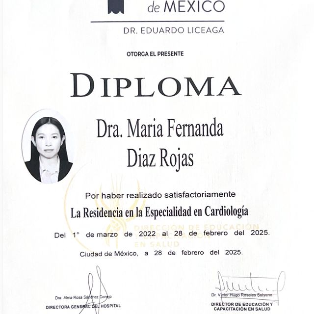 Ampliar imagen: certificate 3
