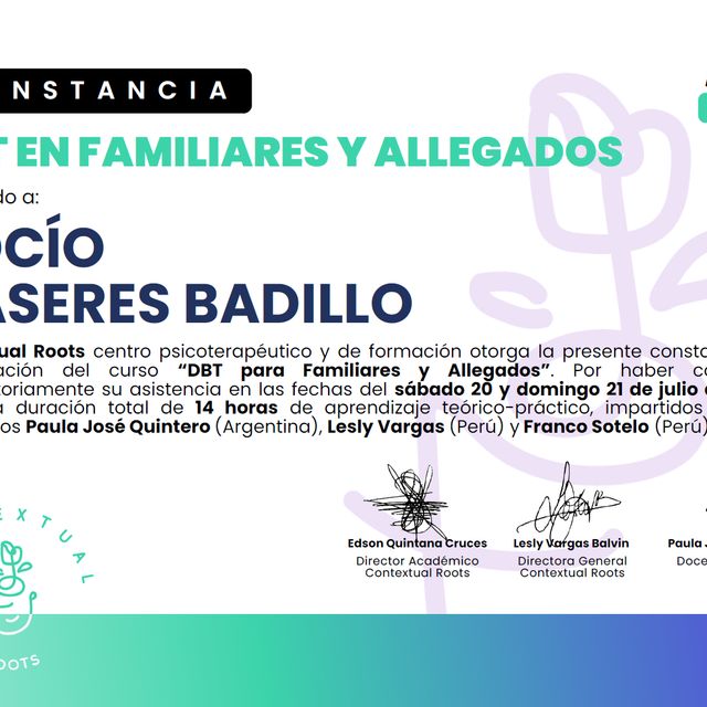 Ampliar imagen: certificate 7