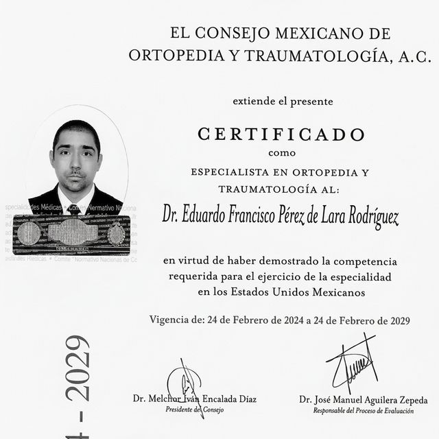Ampliar imagen: certificate 1