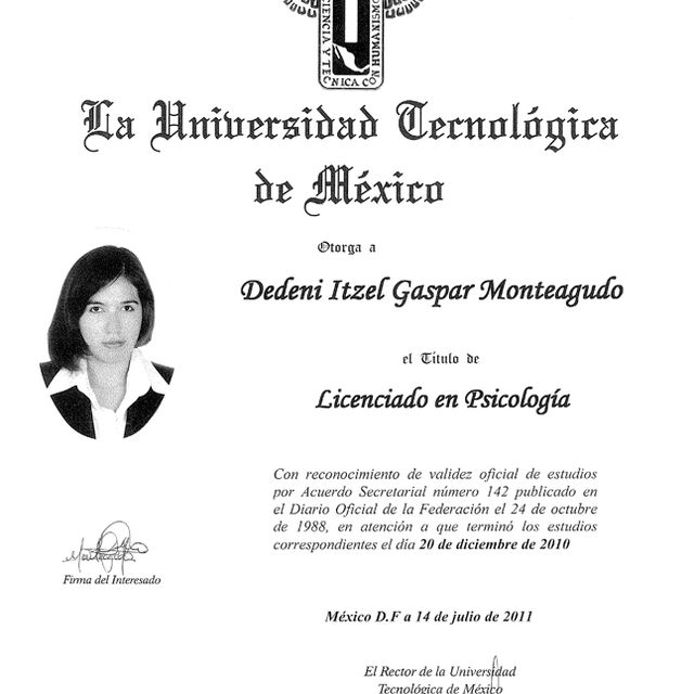 Ampliar imagen: certificate 1