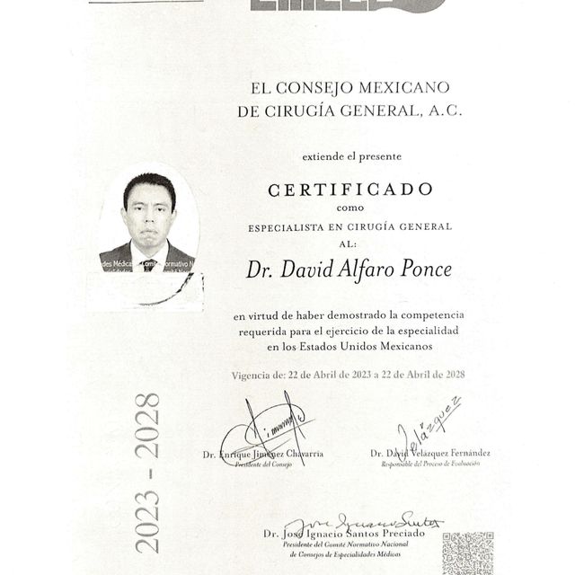 Ampliar imagen: certificate 1
