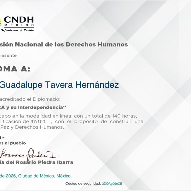 Ampliar imagen: certificate 81