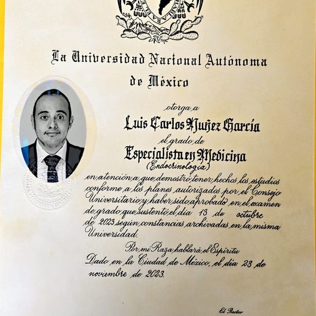 Ampliar imagen: certificate 2