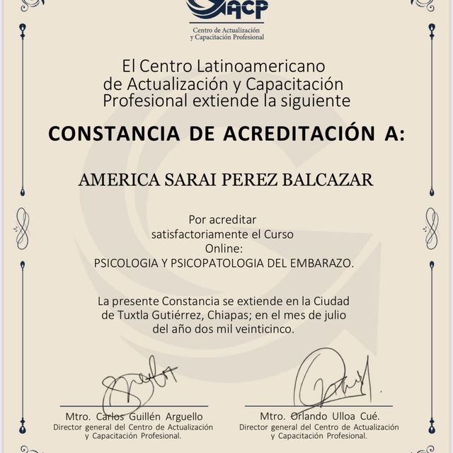 Ampliar imagen: certificate 26