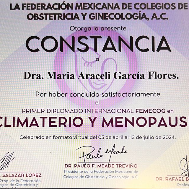 Ampliar imagen: certificate 3