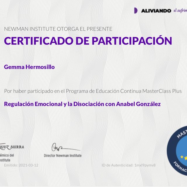 Ampliar imagen: certificate 13
