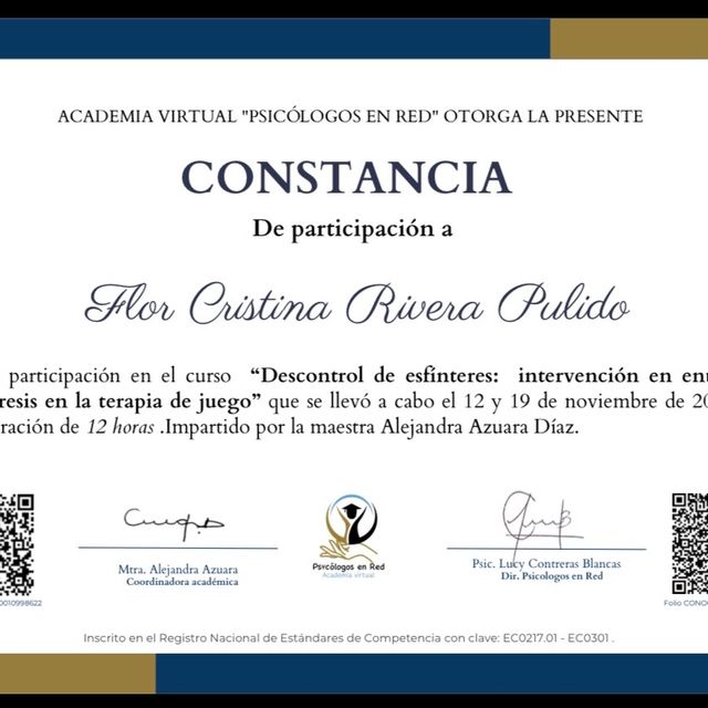 Ampliar imagen: certificate 3