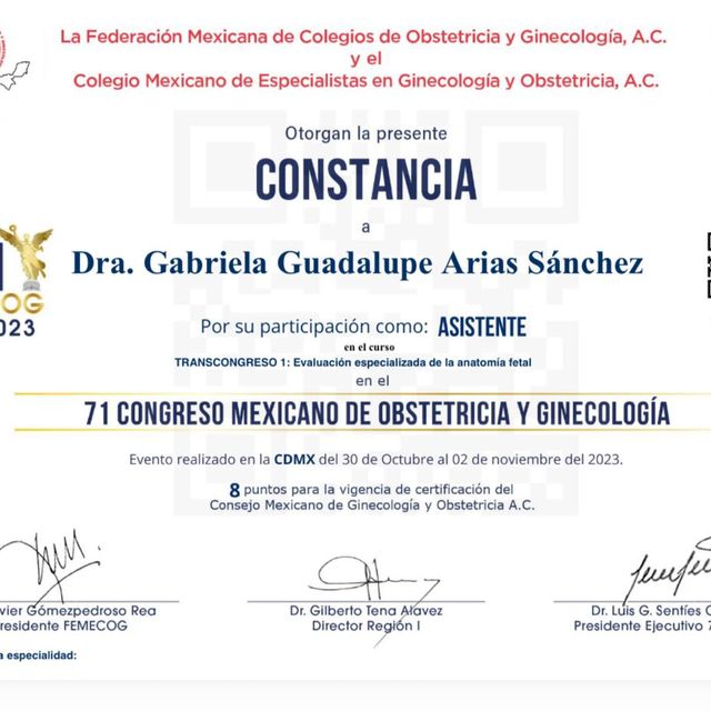 Ampliar imagen: certificate 7