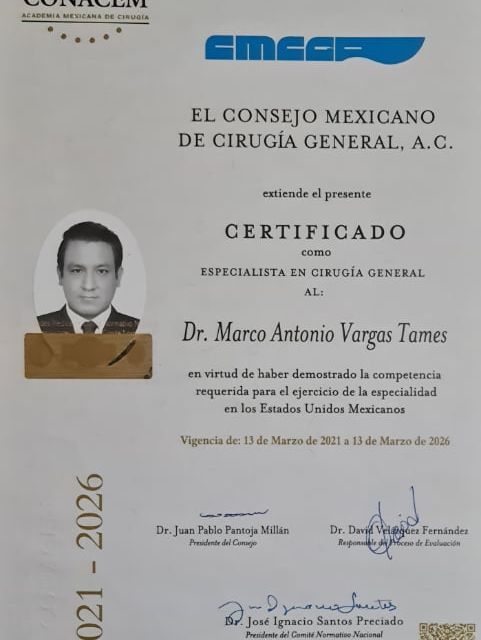 Ampliar imagen: certificate 2