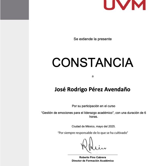 Ampliar imagen: certificate 17