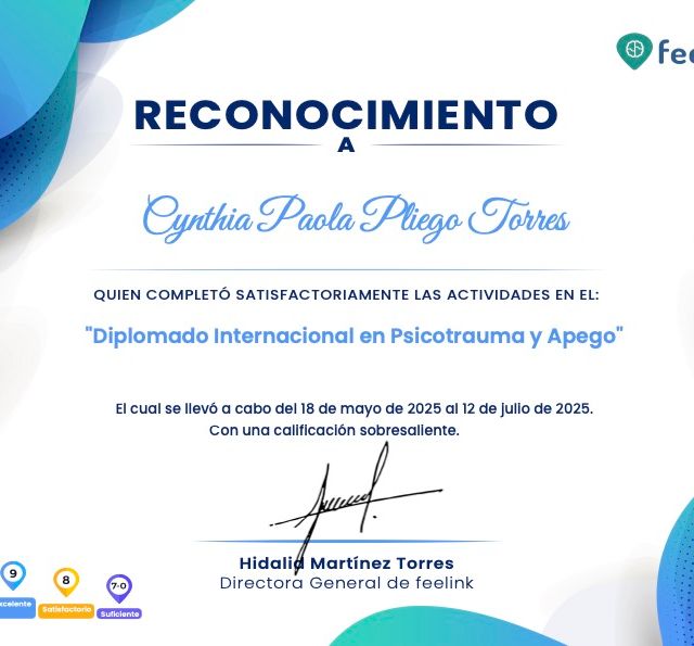 Ampliar imagen: certificate 1