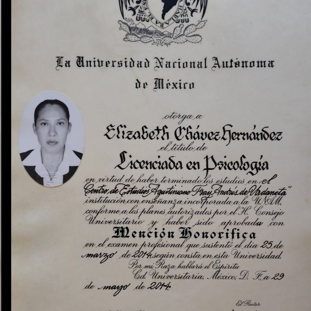 Ampliar imagen: certificate 1