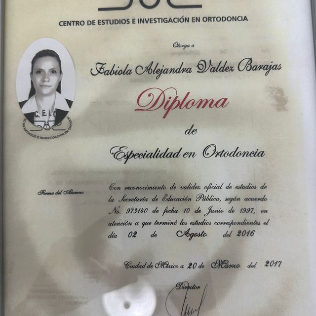 Ampliar imagen: certificate 4