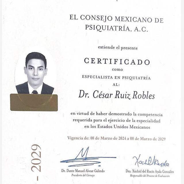 Ampliar imagen: certificate 2
