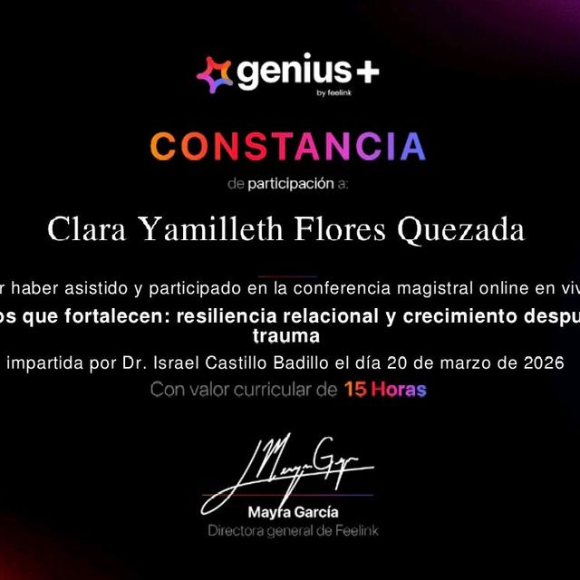 Ampliar imagen: certificate 16
