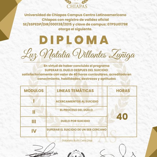 Ampliar imagen: certificate 1