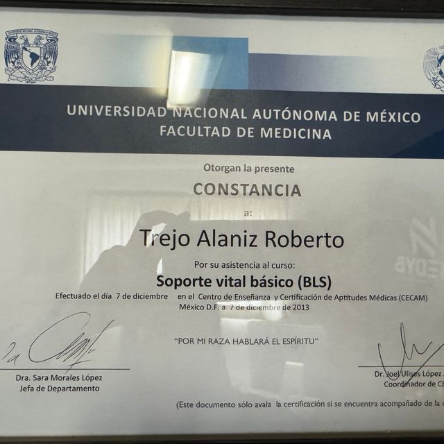 Ampliar imagen: certificate 3