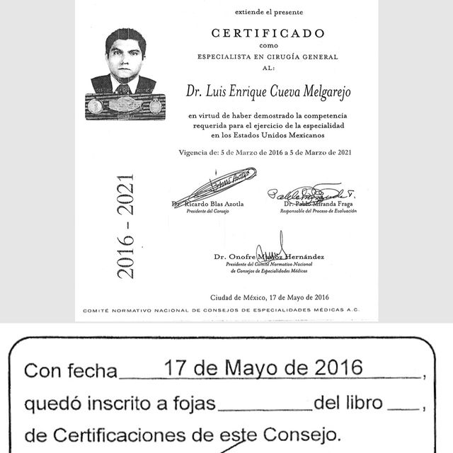 Ampliar imagen: certificate 3