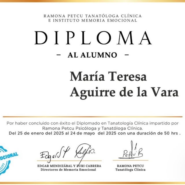 Ampliar imagen: certificate 6